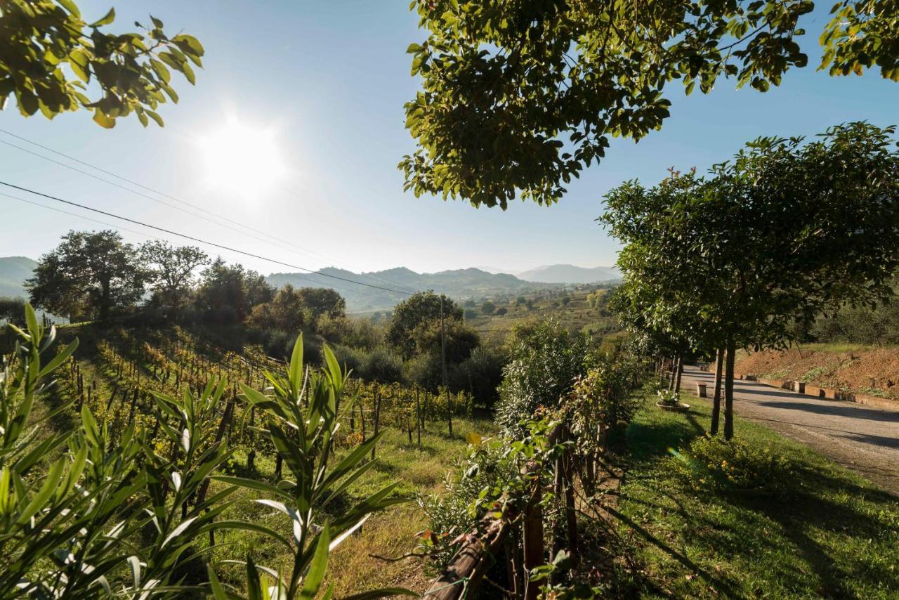 Tenuta D'Amore San Mango Piemonte Exterior foto